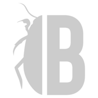 Bug Bounty Icon Transparent