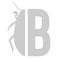 Bug Bounty Icon Transparent Bug Bounty Icon Transparent